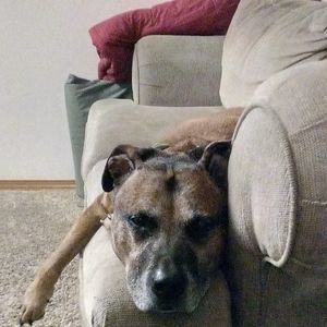 Meet your Posher, Sandra